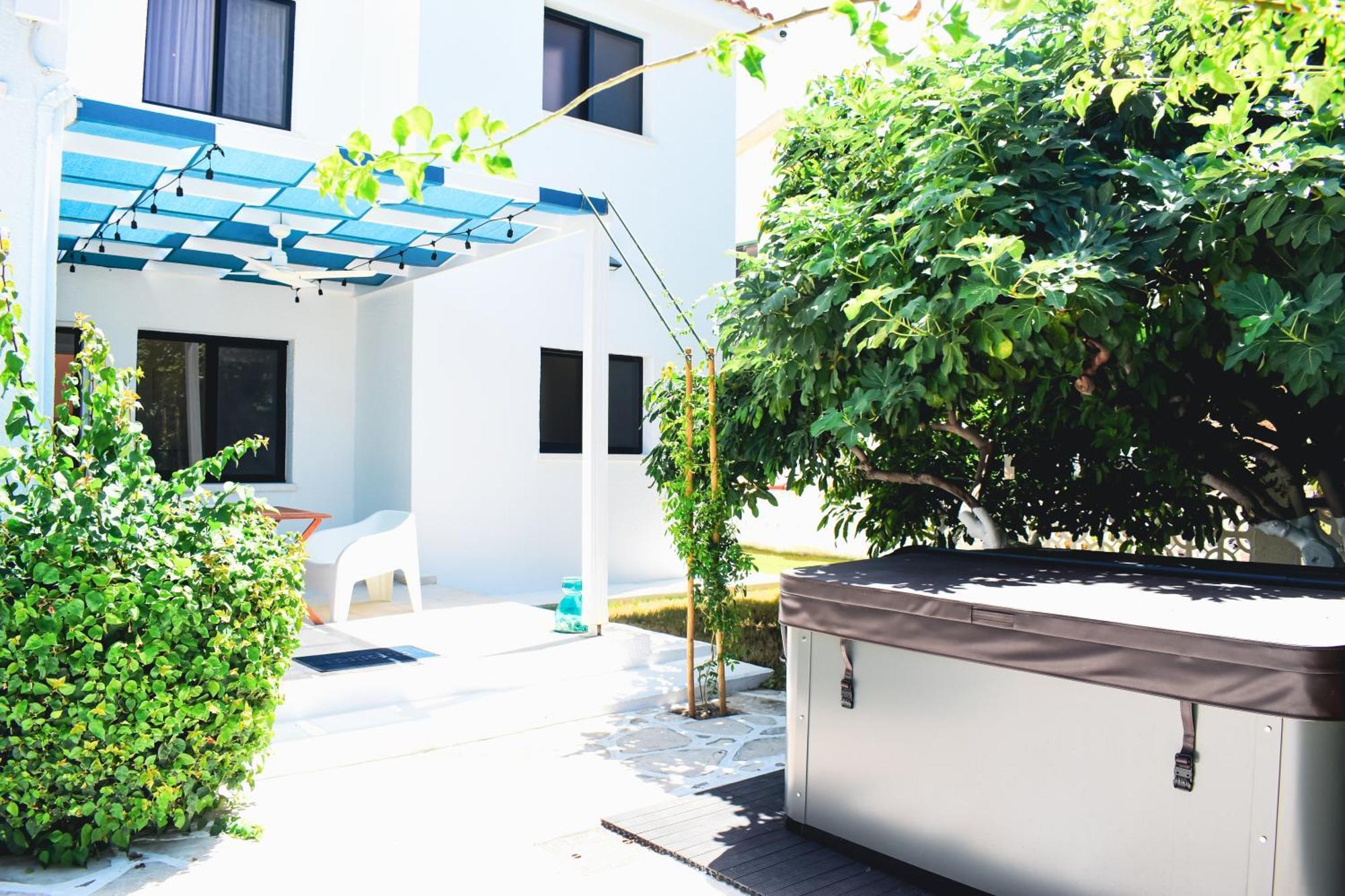 Villa Mykonos *